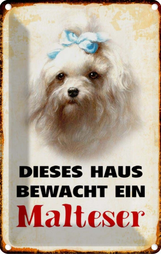 [LA-112960-2030] Blechschild 30x20 cm Hund dieses Haus bewacht ein Malteser Tier Haustier