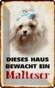 Blechschild 30x20 cm Hund dieses Haus bewacht ein Malteser Tier Haustier