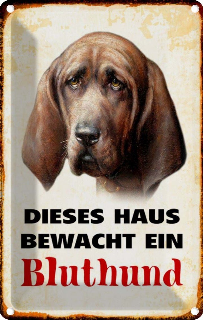 [LA-112964-2030] Blechschild 30x20 cm Hund dieses Haus bewacht ein Bluthund Tier Haustier