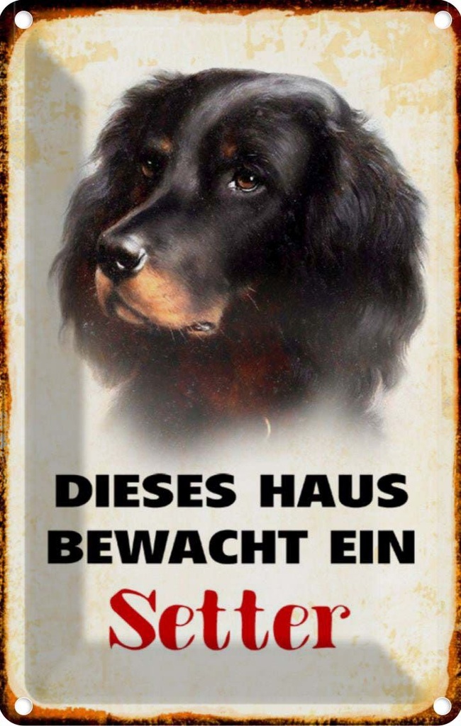 [LA-112973-2030] Blechschild 30x20 cm Hund dieses Haus bewacht ein Setter Tier Haustier