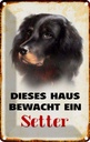 Blechschild 30x20 cm Hund dieses Haus bewacht ein Setter Tier Haustier