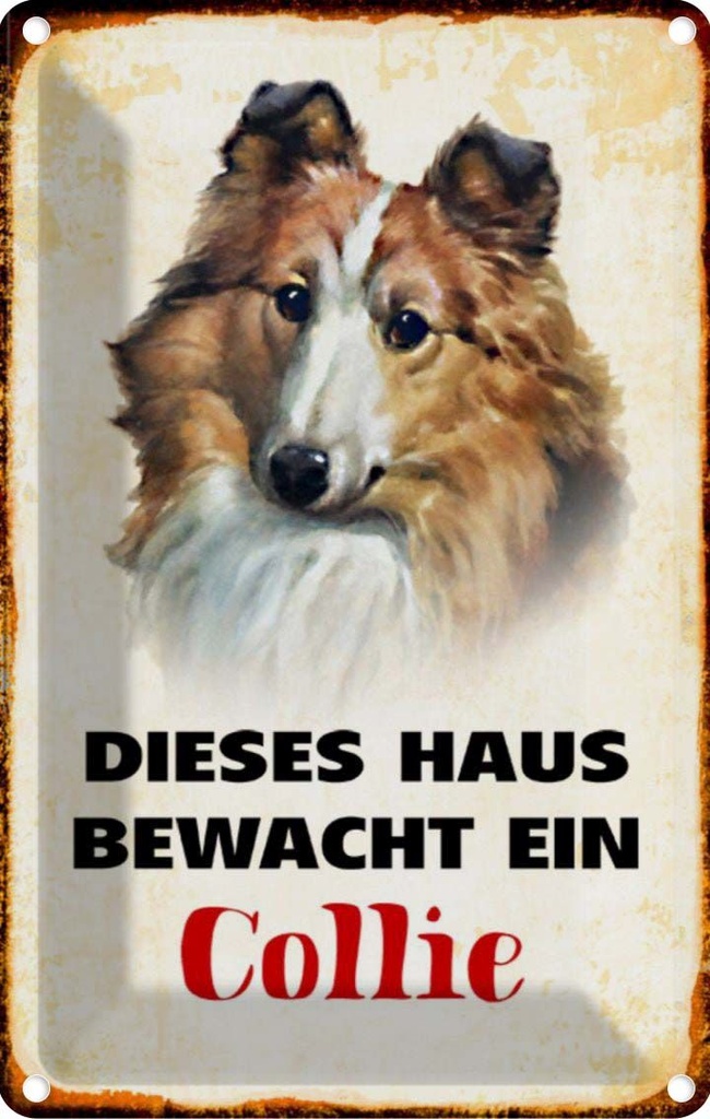 [LA-112974-2030] Blechschild 30x20 cm Hund dieses Haus bewacht ein Collie Tier Haustier