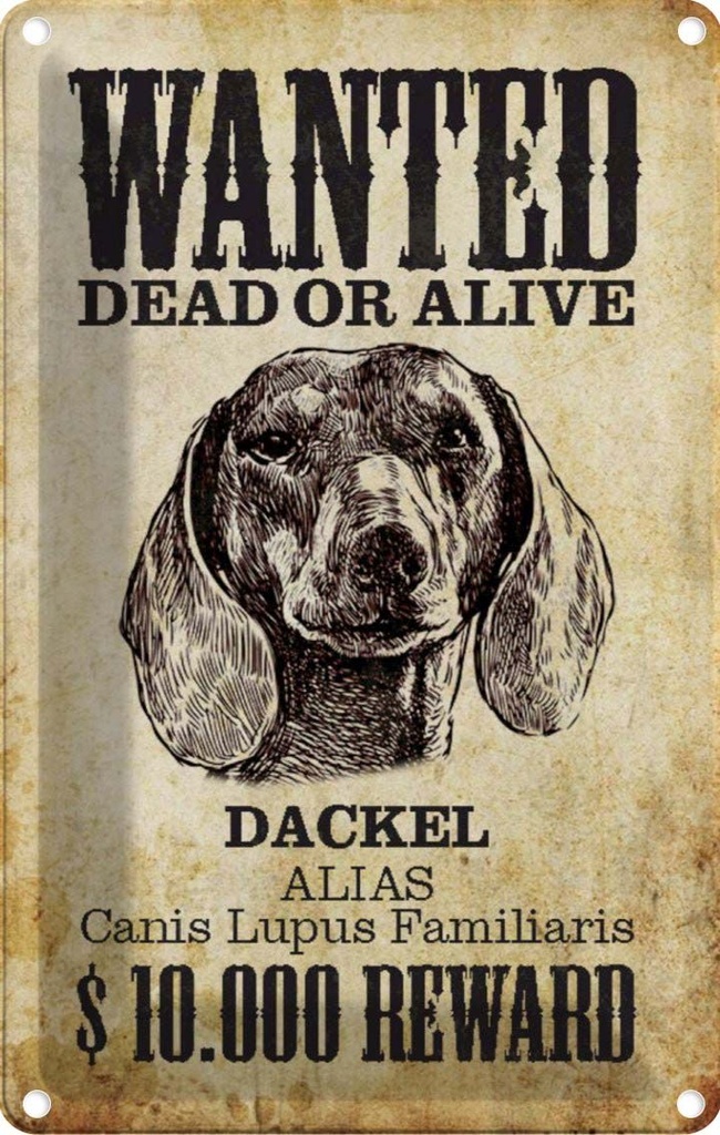 [LA-112998-2030] Blechschild 30x20 cm Hund wanted dead Dackel Alias Tier Haustier
