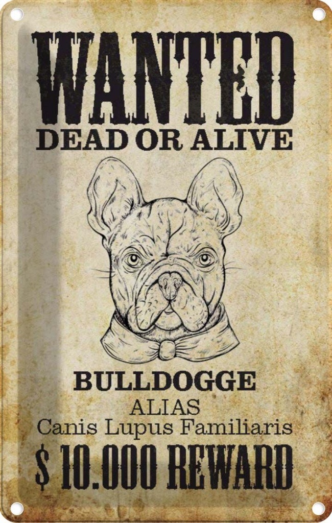 [LA-112999-2030] Blechschild 30x20 cm Hund wanted dead Bulldogge Alias Tier Haustier