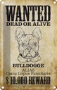 Blechschild 30x20 cm Hund wanted dead Bulldogge Alias Tier Haustier
