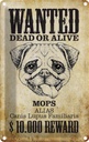 Blechschild 30x20 cm Hund wanted dead Mops Alias Tier Haustier