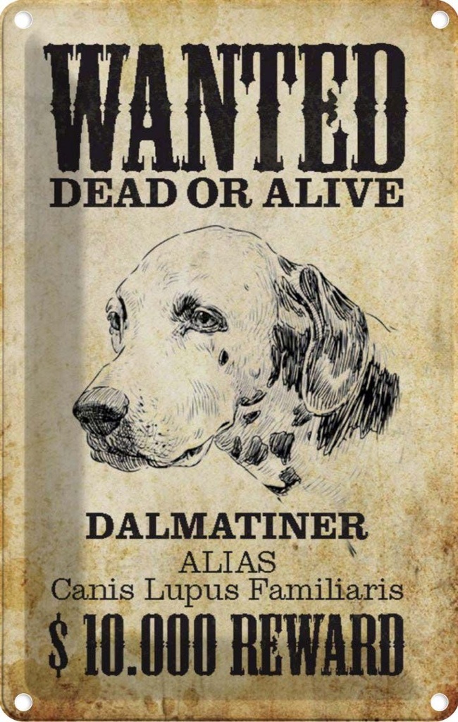 [LA-113001-2030] Blechschild 30x20 cm Hund wanted dead Dalmatiner Tier Haustier