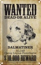 Blechschild 30x20 cm Hund wanted dead Dalmatiner Tier Haustier