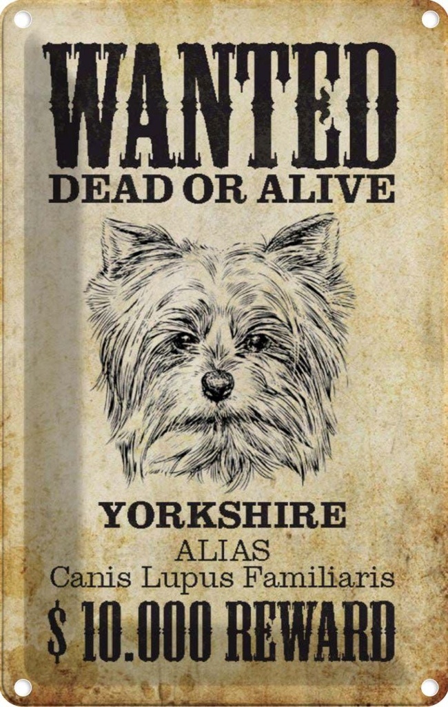 [LA-113002-2030] Blechschild 30x20 cm Hund wanted dead Yorkshire Tier Haustier