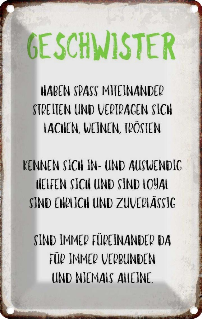 [LA-113006-2030] Blechschild 30x20 cm Geschwister füreinander da Spruch Zitat