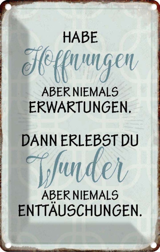 [LA-113060-2030] Blechschild 30x20 cm habe Hoffnungen nie Erwartungen Spruch Zitat