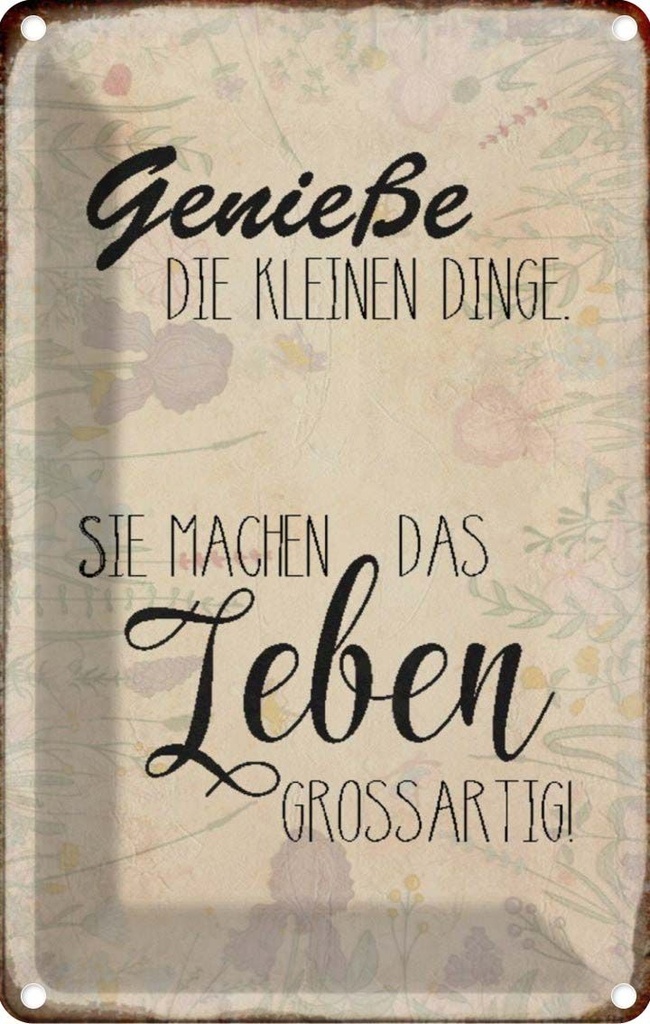 [LA-113085-2030] Blechschild 30x20 cm genieße kleine Dinge Leben Spruch Zitat