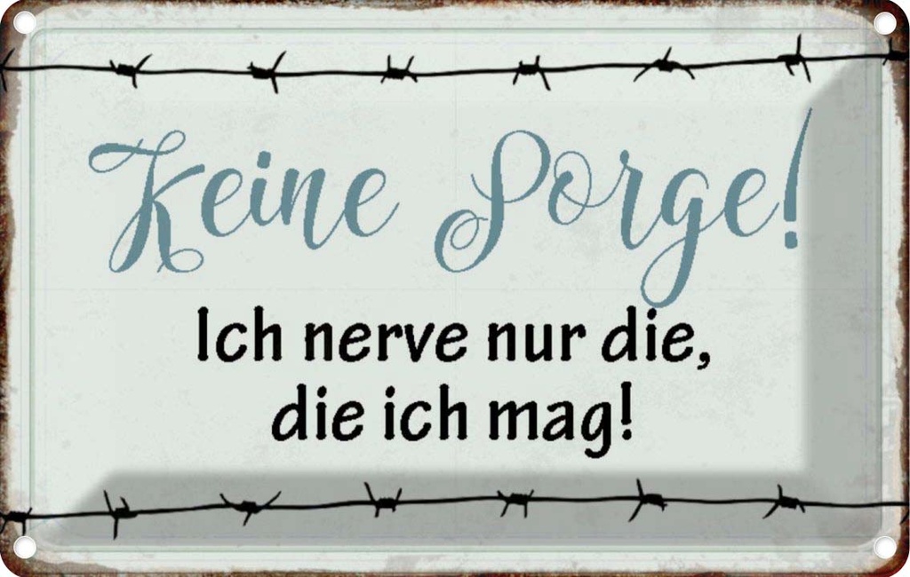 [LA-113092-2030] Blechschild 20x30 cm keine Sorge ich nerve nur die mag Spruch Zitat