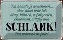 Blechschild 20x30 cm könnte abnehmen dann klug hübsch Spruch Zitat