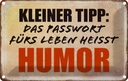 Blechschild 20x30 cm kleiner Tipp das Passwort Humor Spruch Zitat