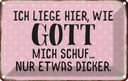 Blechschild 20x30 cm liege hier wie Gott mich schuf Dekoration Spruch Zitat
