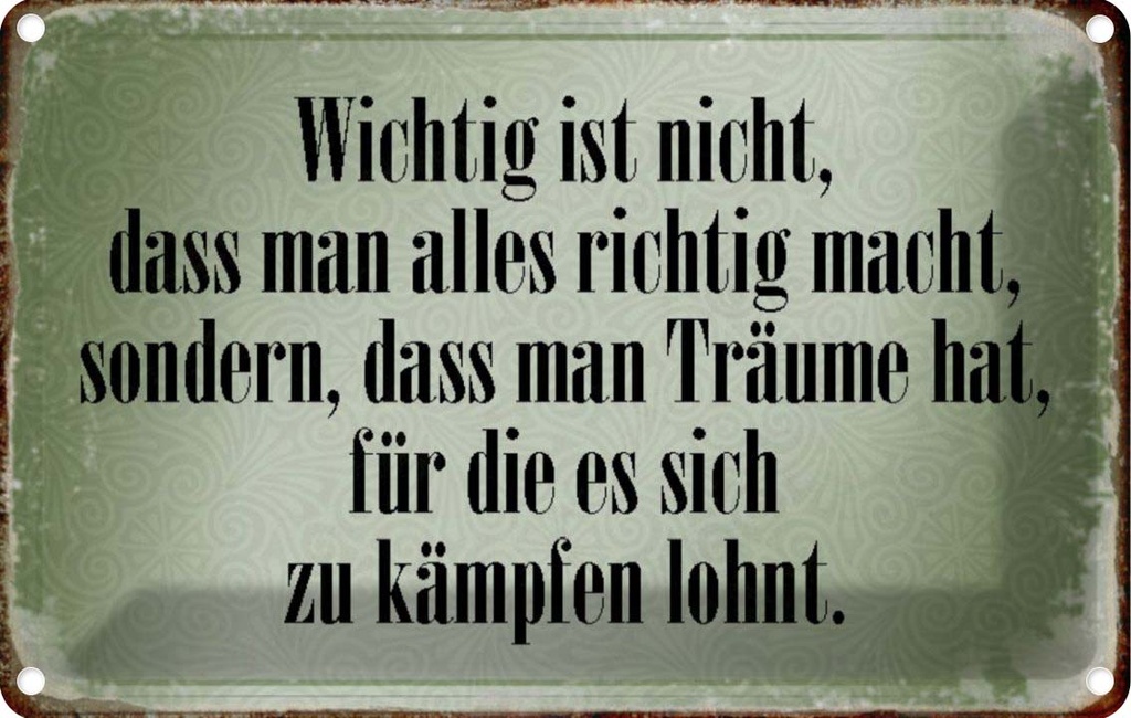 [LA-113143-2030] Blechschild 20x30 cm wichtig Träume haben und kämpfen Spruch Zitat