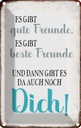 Blechschild 30x20 cm gibt gute Freunde auch noch Dich Familie