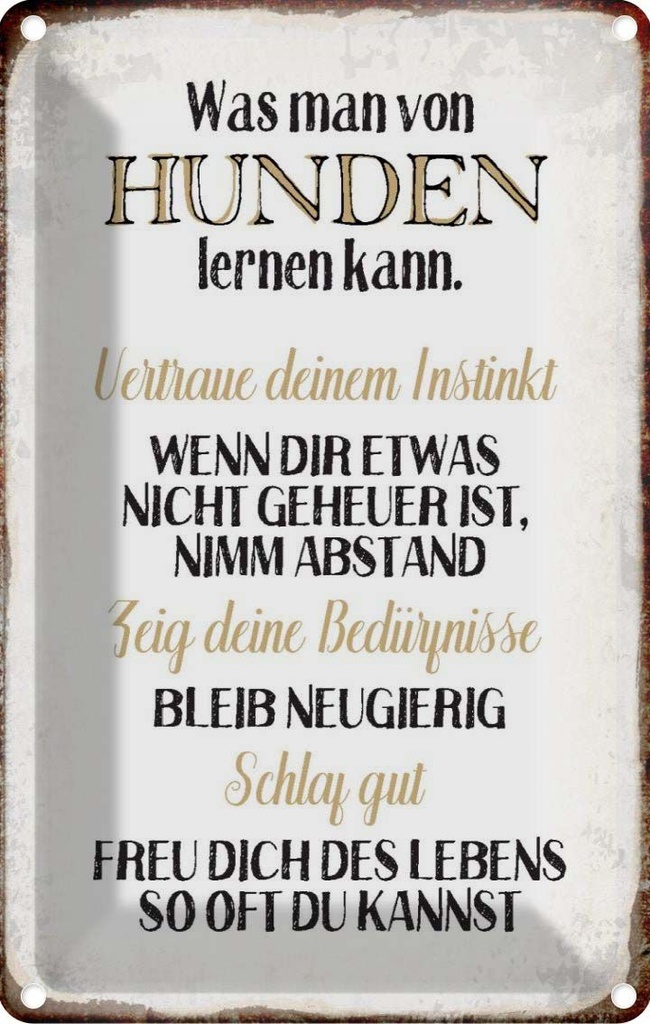 [LA-113279-2030] Blechschild 30x20 cm was man von Hunden lernen kann Tier Haustier Hund