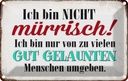 Blechschild 20x30 cm ich bin nicht mürrisch nur Dekoration Spruch Zitat