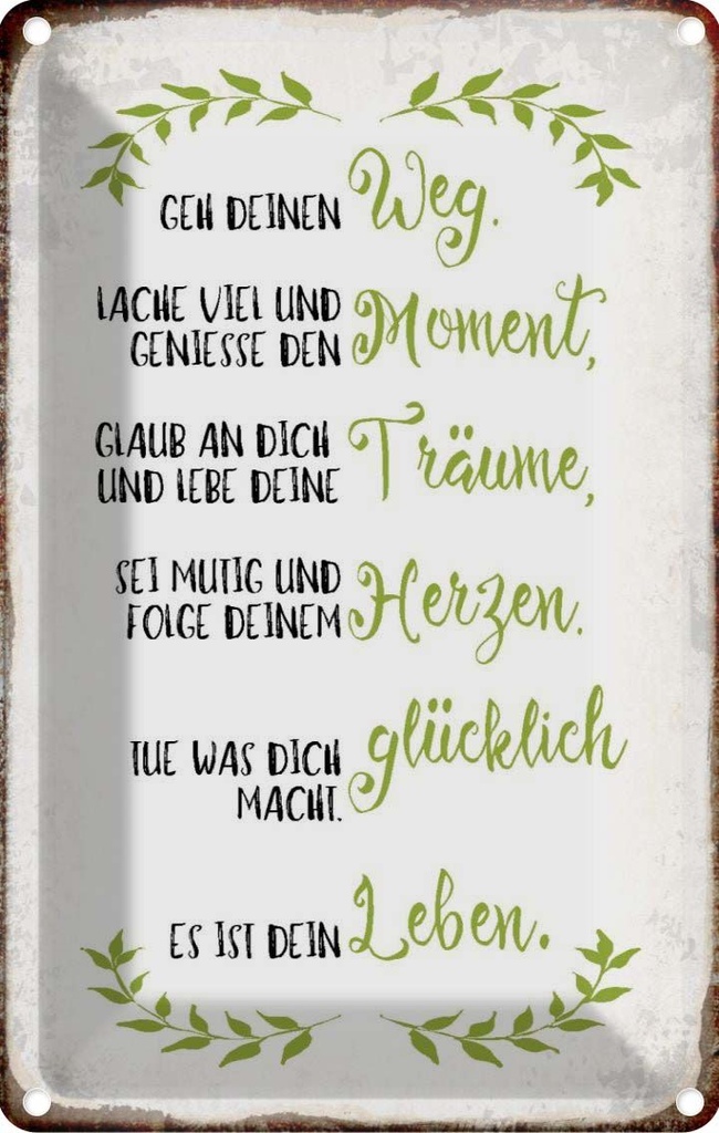 [LA-113328-2030] Blechschild 30x20 cm geh deinen Weg lache viel Spruch Zitat