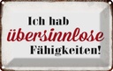 Blechschild 20x30 cm ich hab übersinnlose Fähigkeiten Spruch Zitat