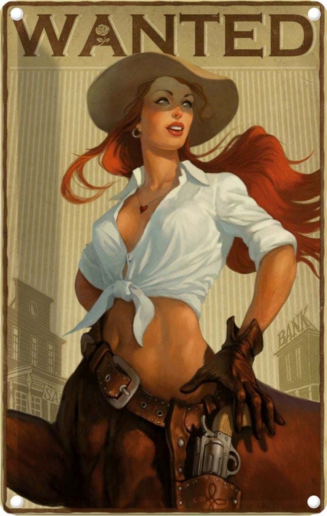 [LA-113635-2030] Blechschild 30x20 cm Pinup wanted Cowgirl Pin Up