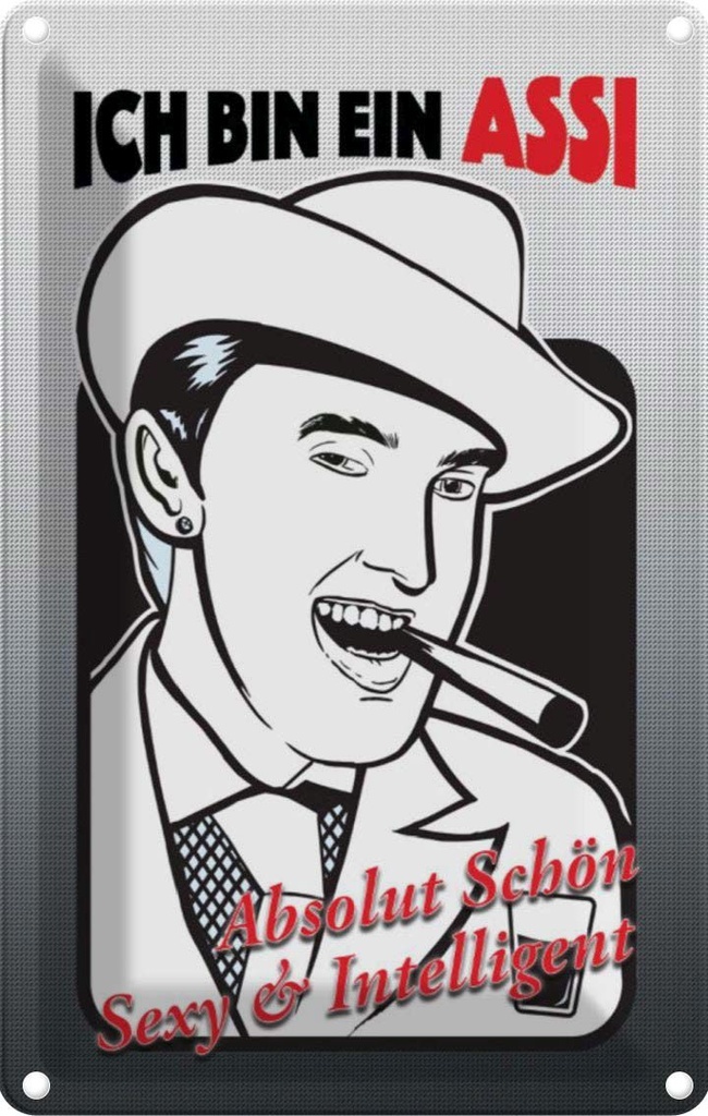 [LA-113728-2030] Blechschild 30x20 cm ich bin ASSI schön intelligent Dekoration Spruch Zitat