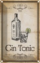 Blechschild 30x20 cm Alkohol 1761 Gin tonic Essen Trinken Bar Club