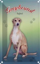 Blechschild 30x20 cm Hund Greyhound England Tier Haustier