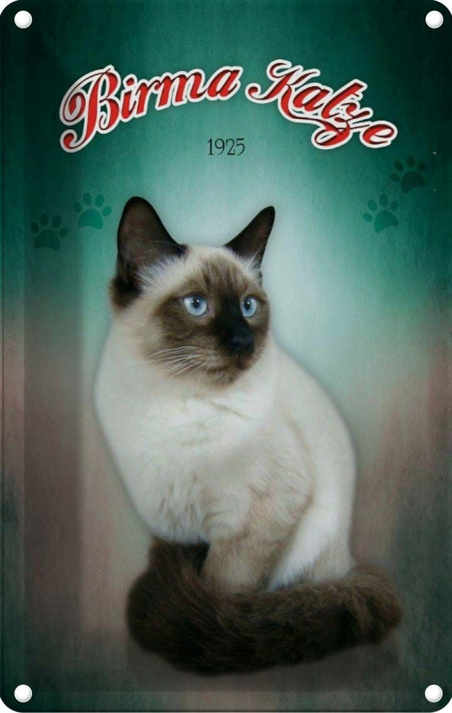 [LA-113781-2030] Blechschild 30x20 cm Katze Birma 1925 Tier Haustier