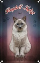 Blechschild 30x20 cm Katze Ragdoll 1960 Tier Haustier