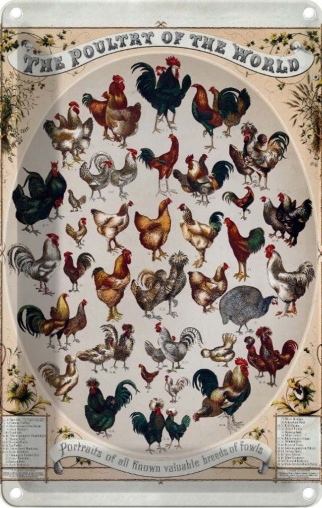 [LA-113795-2030] Blechschild 30x20 cm Geflügelart the poultry of worls Dekoration