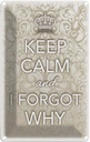 Blechschild 30x20 cm Keep Calm and i forgot why Yoga