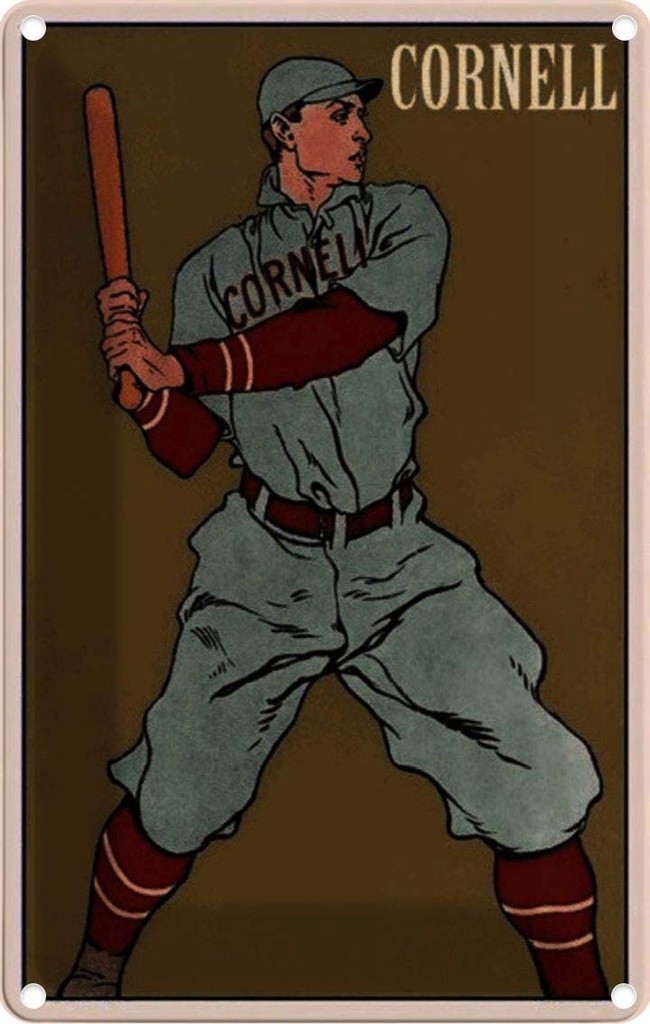 [LA-113898-2030] Blechschild 30x20 cm Cornell Baseball Schlagmann Sport Hobby