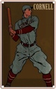 Blechschild 30x20 cm Cornell Baseball Schlagmann Sport Hobby