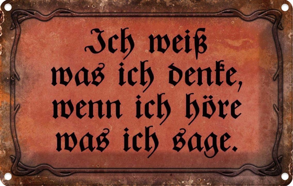 [LA-113936-2030] Blechschild 20x30 cm ich weiß was denke wenn Dekoration Spruch Zitat