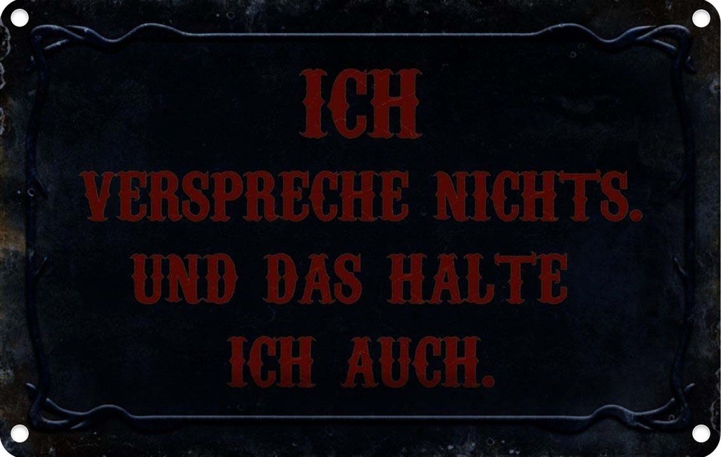 [LA-113977-2030] Blechschild 20x30 cm verspreche nichts das halte auch Spruch Zitat