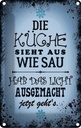 Blechschild 30x20 cm Küche sieht Kochen aus wie Sau hab das Essen