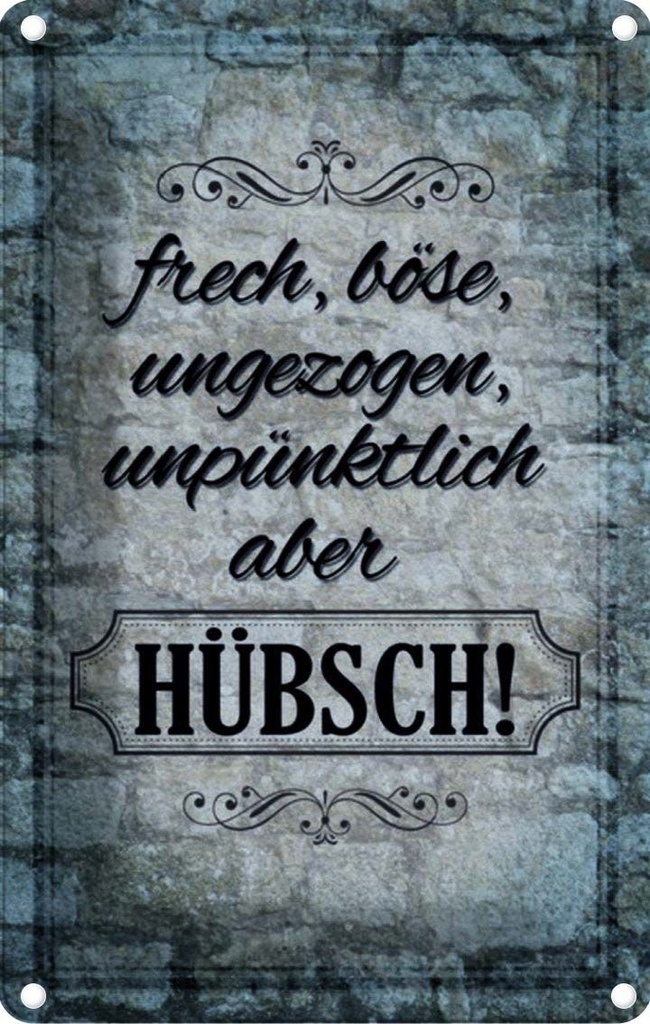 [LA-114073-2030] Blechschild 30x20 cm frech böse ungezogen aber hübsch Spruch Zitat