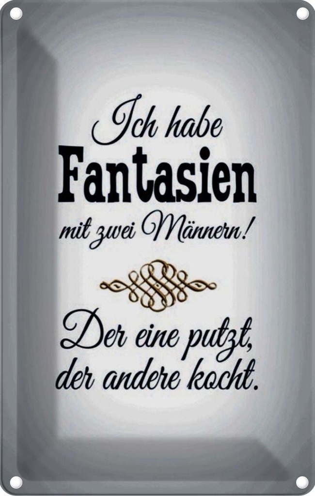 [LA-114097-2030] Blechschild 30x20 cm Fantasien zwei Männer 1 putzt Frauen Spruch Zitat