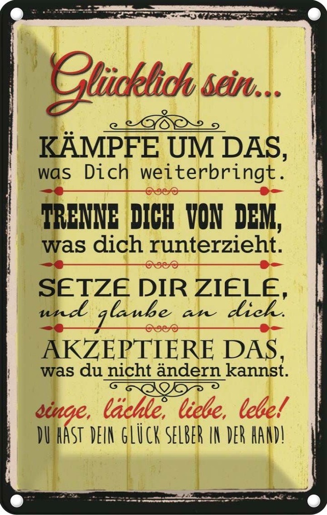 [LA-114108-2030] Blechschild 30x20 cm Glücklich singe lächle liebe Dekoration