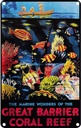 Blechschild 30x20 cm creat barrier coral reef Abenteuer Reisen Urlaub