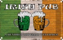 Blechschild 20x30 cm irish pub a hundred thousand Geburtstag Feiern Party