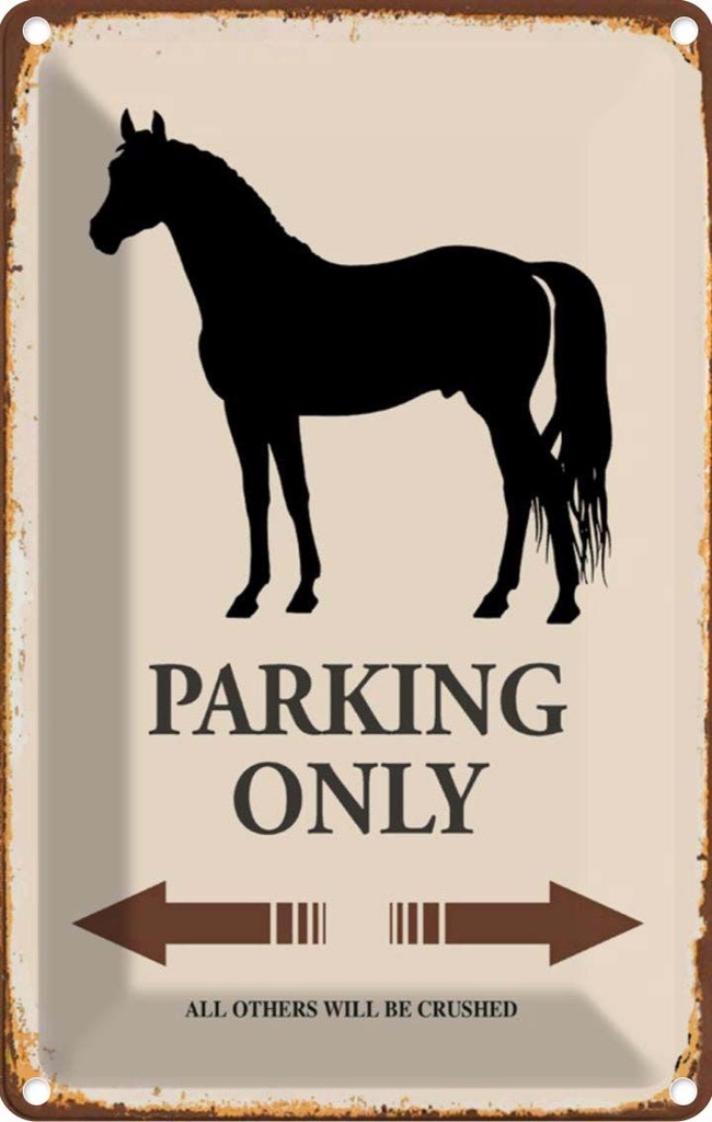 [LA-114521-2030] Blechschild 30x20 cm Pferd Parking only all others Parkplatzschild