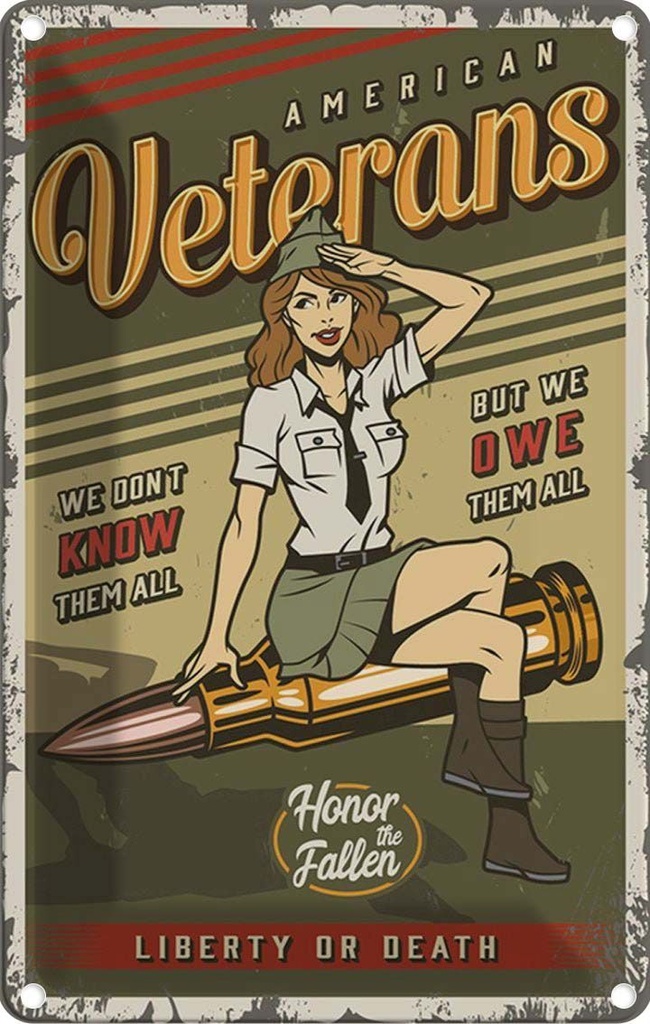 [LA-114668-2030] Blechschild 30x20 cm Pinup American veterans liberty Pin Up