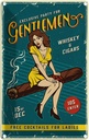 Blechschild 30x20 cm Pinup exclusive party gentlemen Pin Up