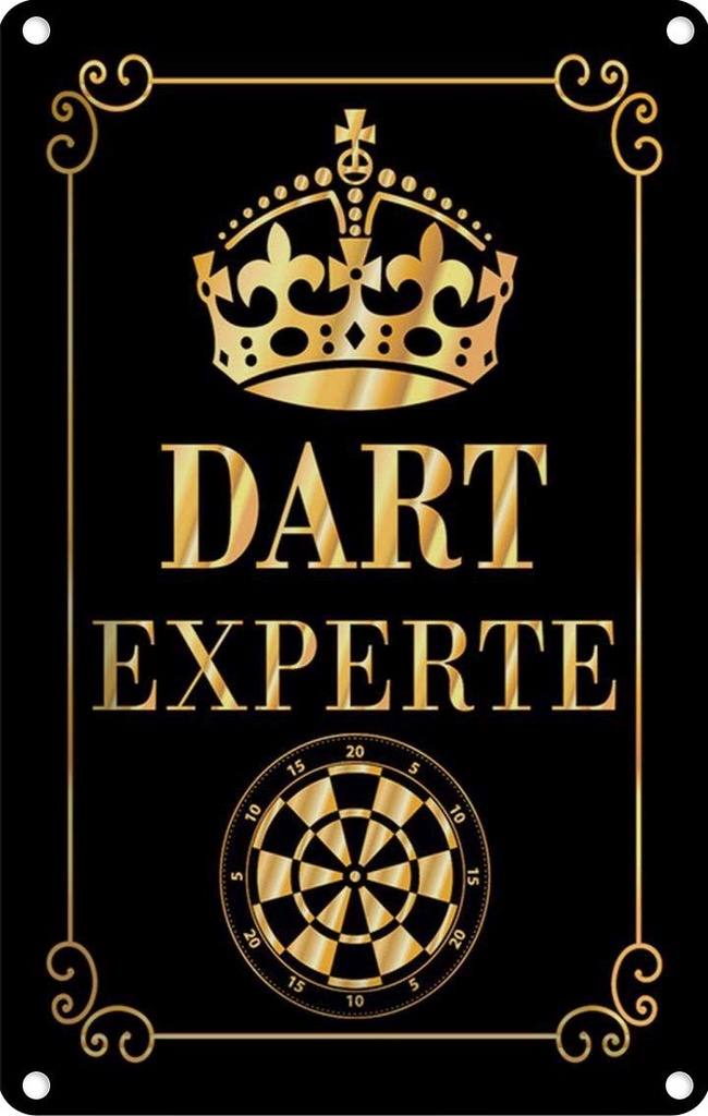 [LA-114919-2030] Blechschild 30x20 cm Dart Experte Krone Sport Hobby