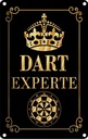 Blechschild 30x20 cm Dart Experte Krone Sport Hobby