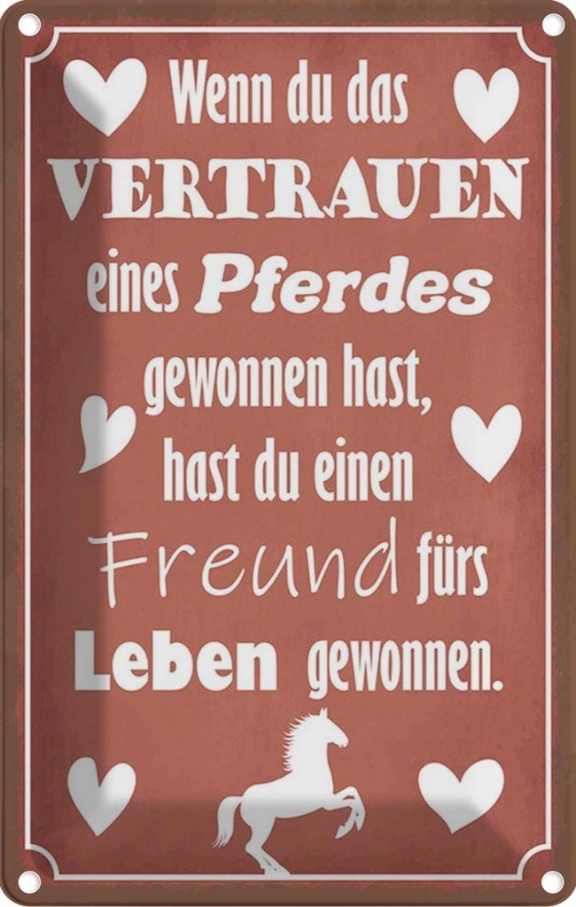 [LA-115190-2030] Blechschild 30x20 cm Vertrauen eines Pferdes Freund Tier Haustier Pferd